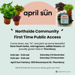 We’re opening our doors for the first time to the public this festive season ensuring your produce is the freshest and most flavourful. Produce from farm to plate that will out do all the seasoned turkeys 🌱