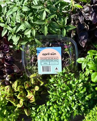 At April Sun Farms, we’re farming beyond sustainability to bring you the freshest, pesticide-free greens while cultivating a future that nourishes both the planet and our tastebuds 🌍🌱