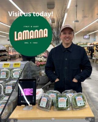 One handful of our micros outworks your whole salad - we’ll explain! We’re instore at @lamannamelbourne today 🌱